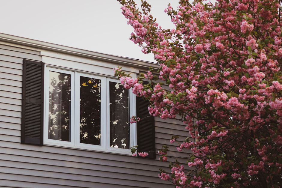 House exterior with white framed windows and dark shutters.